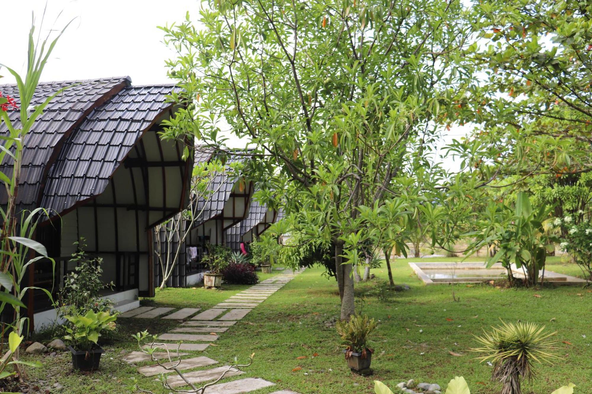 Gino'S Place - Guest House & Jungle Trekking Bukit Lawang Exterior foto