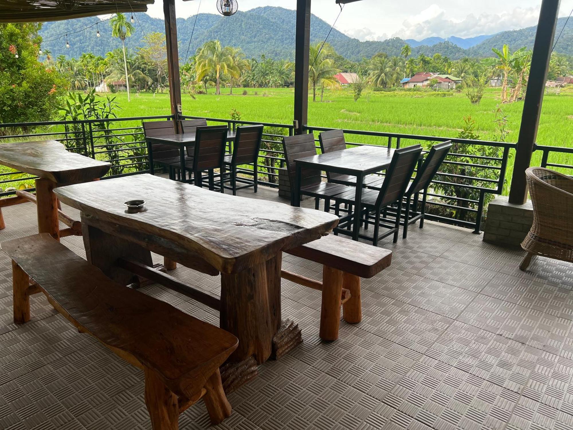Gino'S Place - Guest House & Jungle Trekking Bukit Lawang Exterior foto